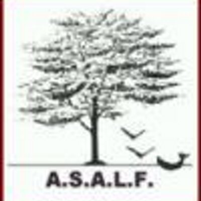 logoasalf_400x400.jpg