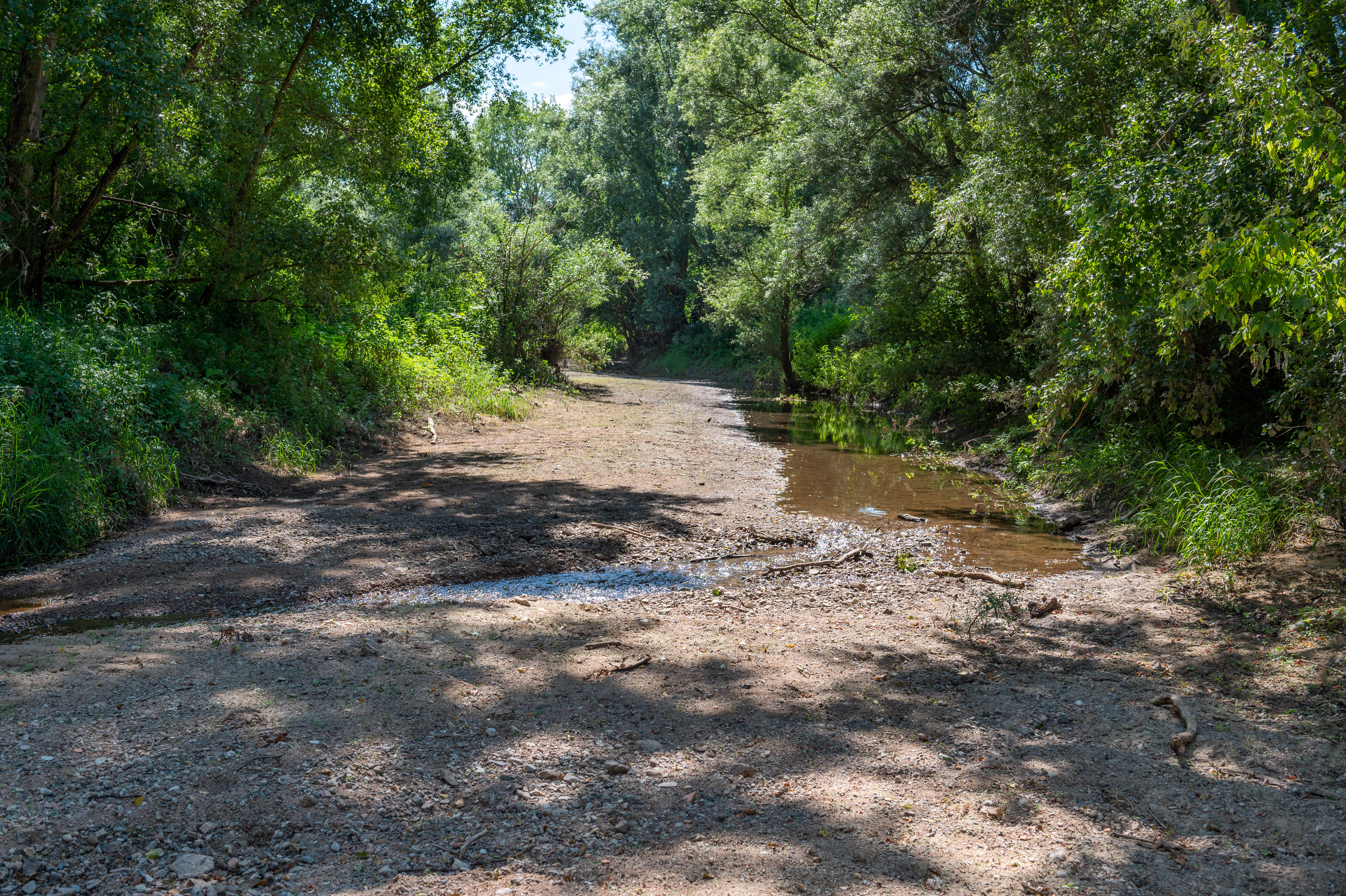 Secheresse,_Confluence_Vauxonne-Saône.jpg