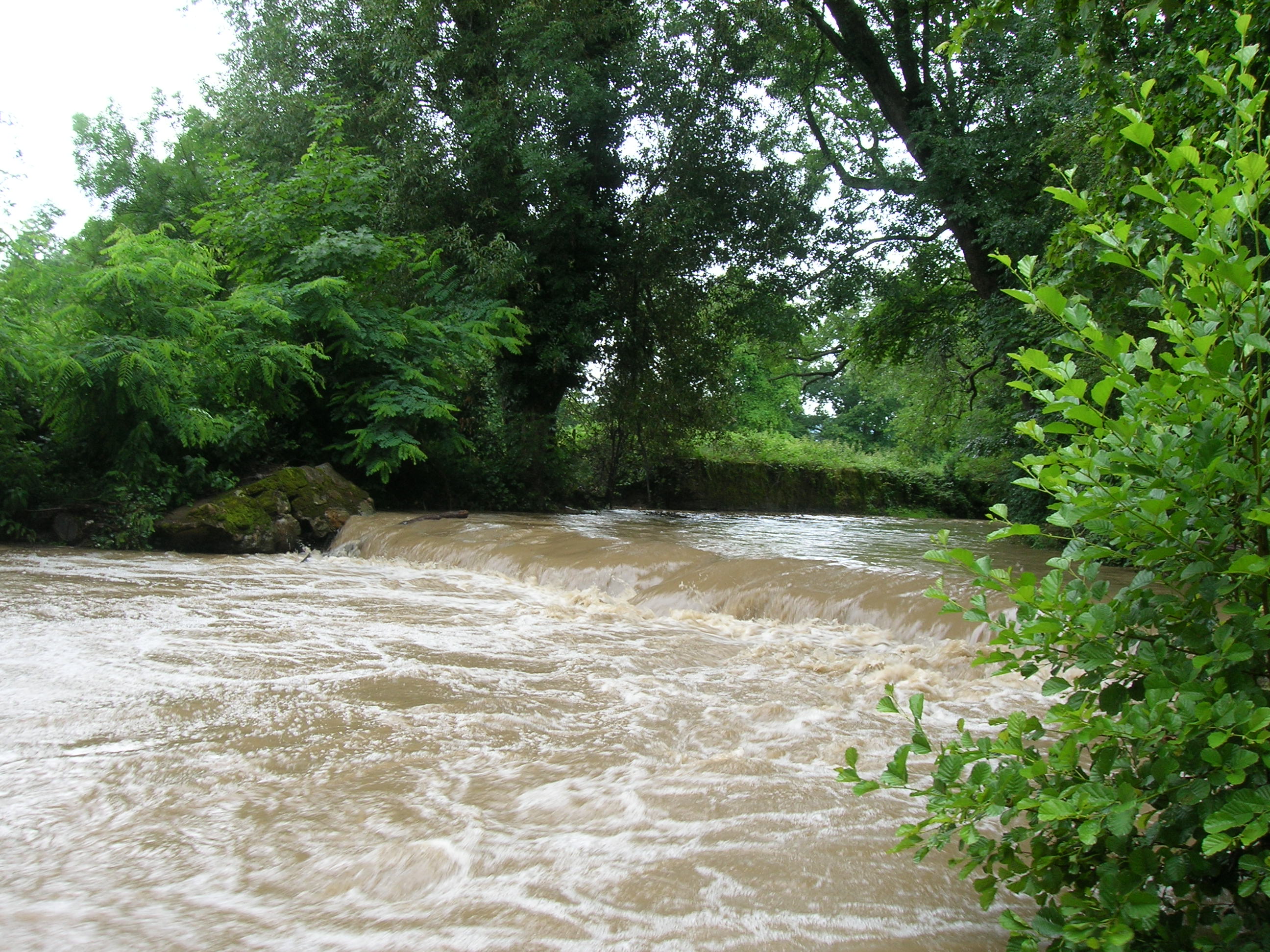 Ardières en crue - aval Cercié 2.JPG