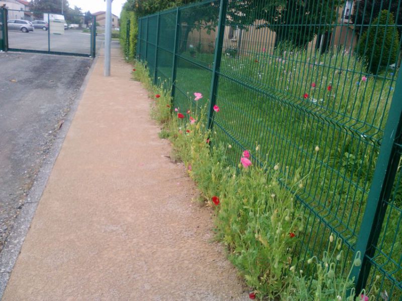 Zero phyto municipalité.jpg