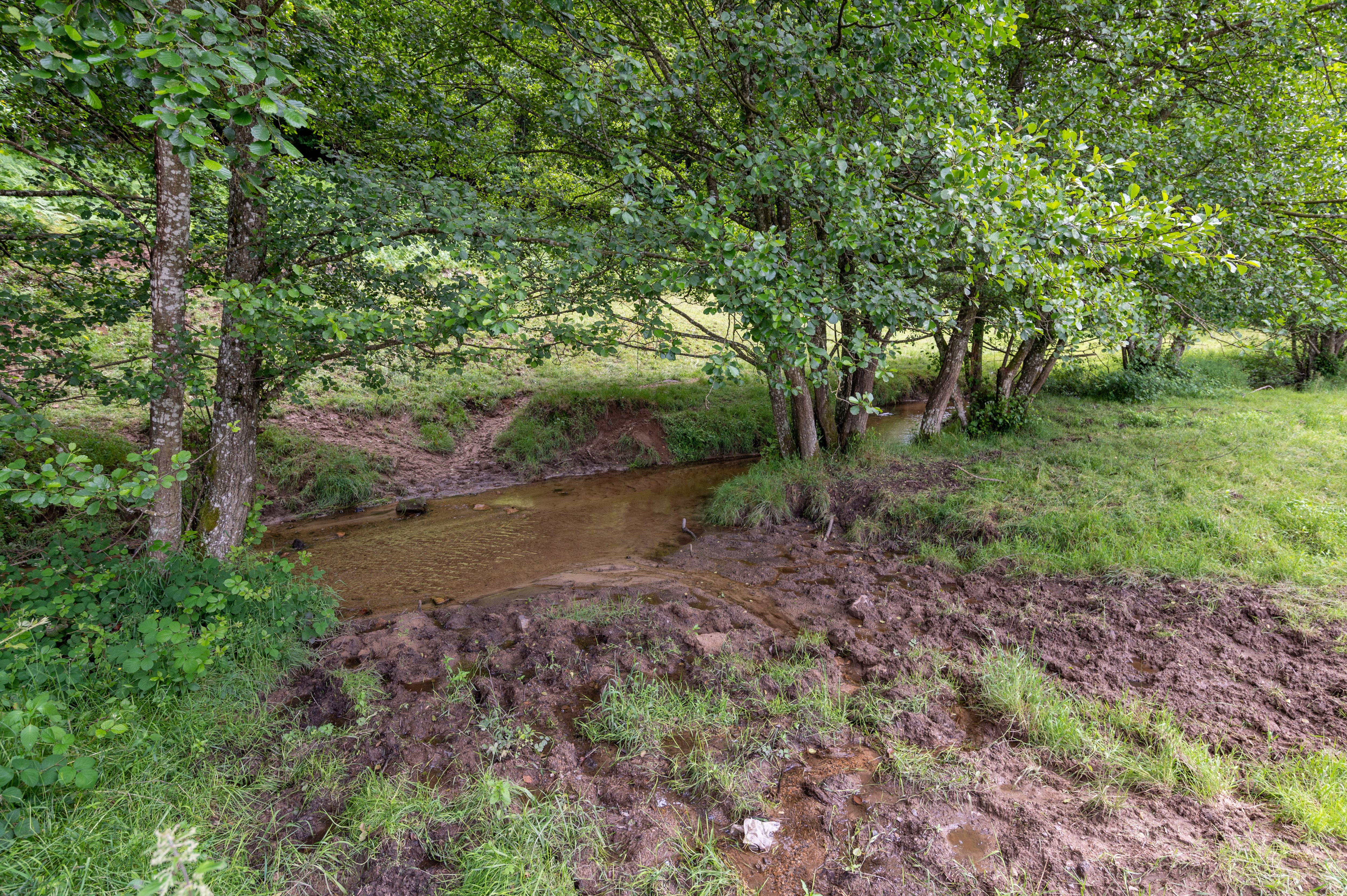 Pietinnement berges.jpg