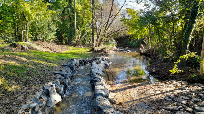 Capture d’écran 2026-02-03 160326.png