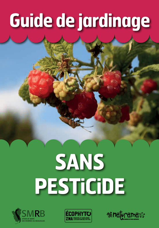 Capture d’écran_PageDeCoucerture_SiteInternet.png