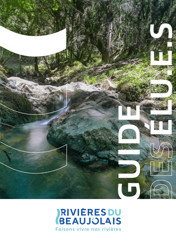 Capture d’écran_PageDeCouverture_SiteInternet.png