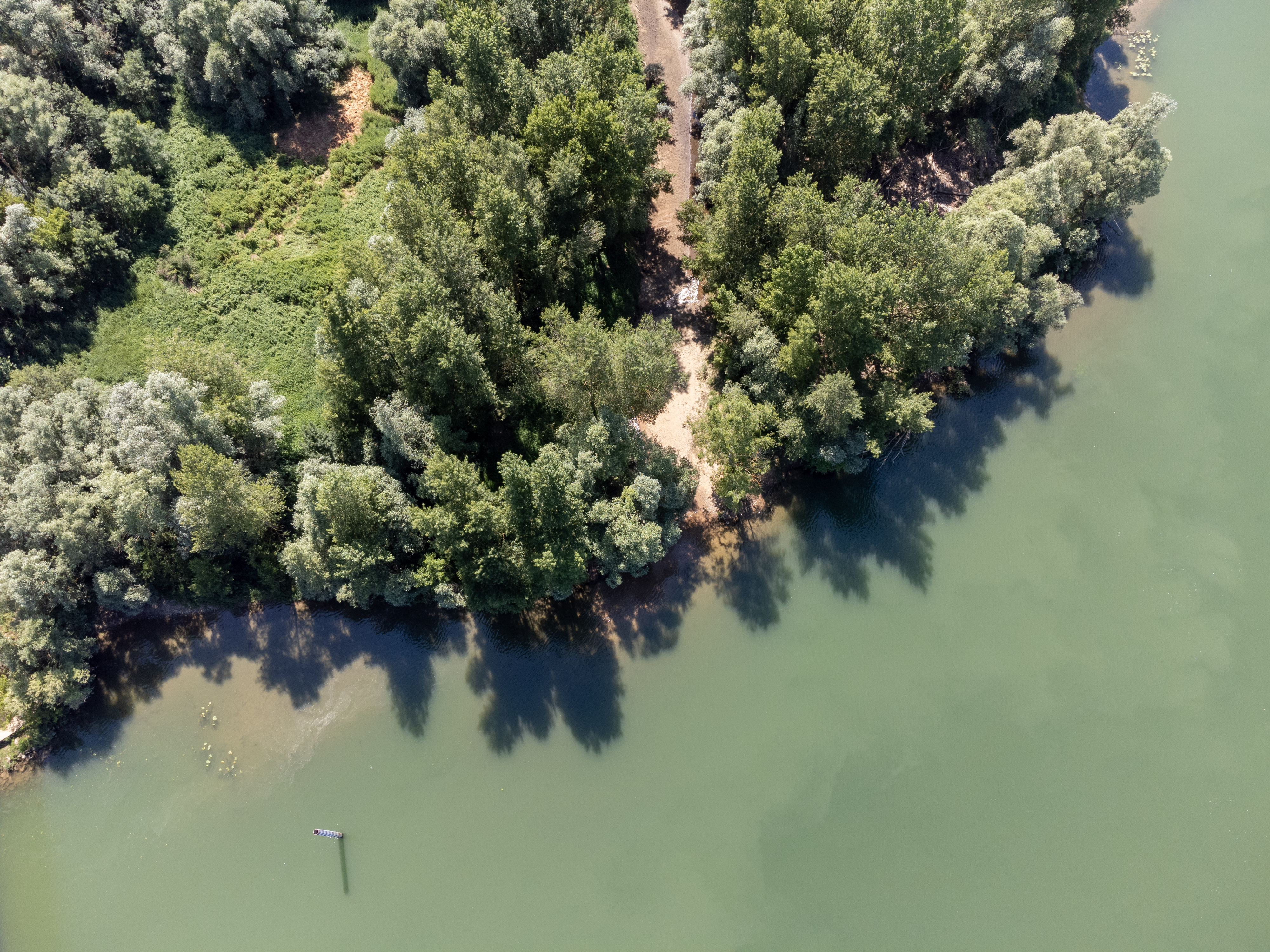 187,_DJI_0042,_Confluence_Vauxonne-Saône.jpg