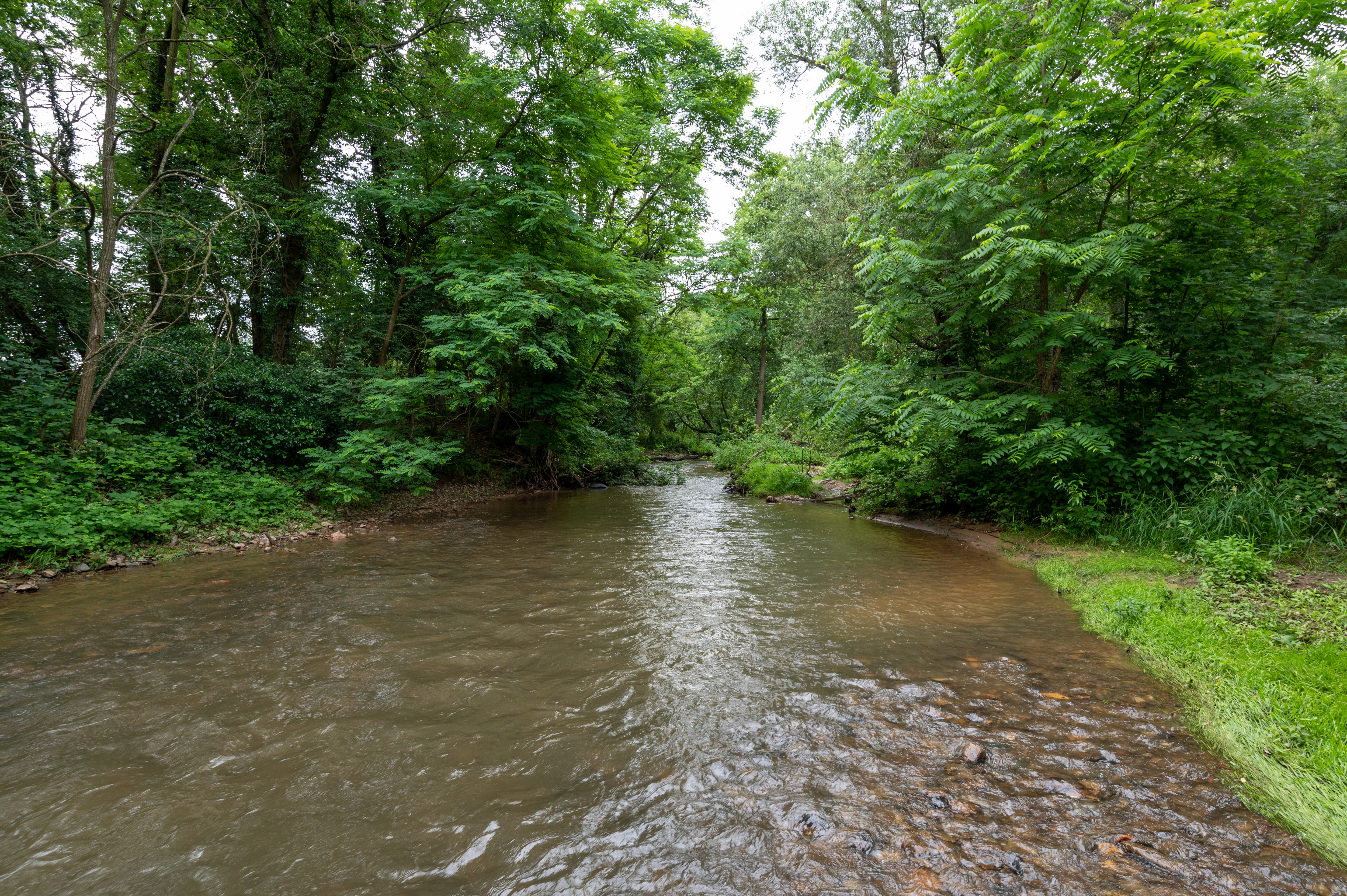 Rivière large 2