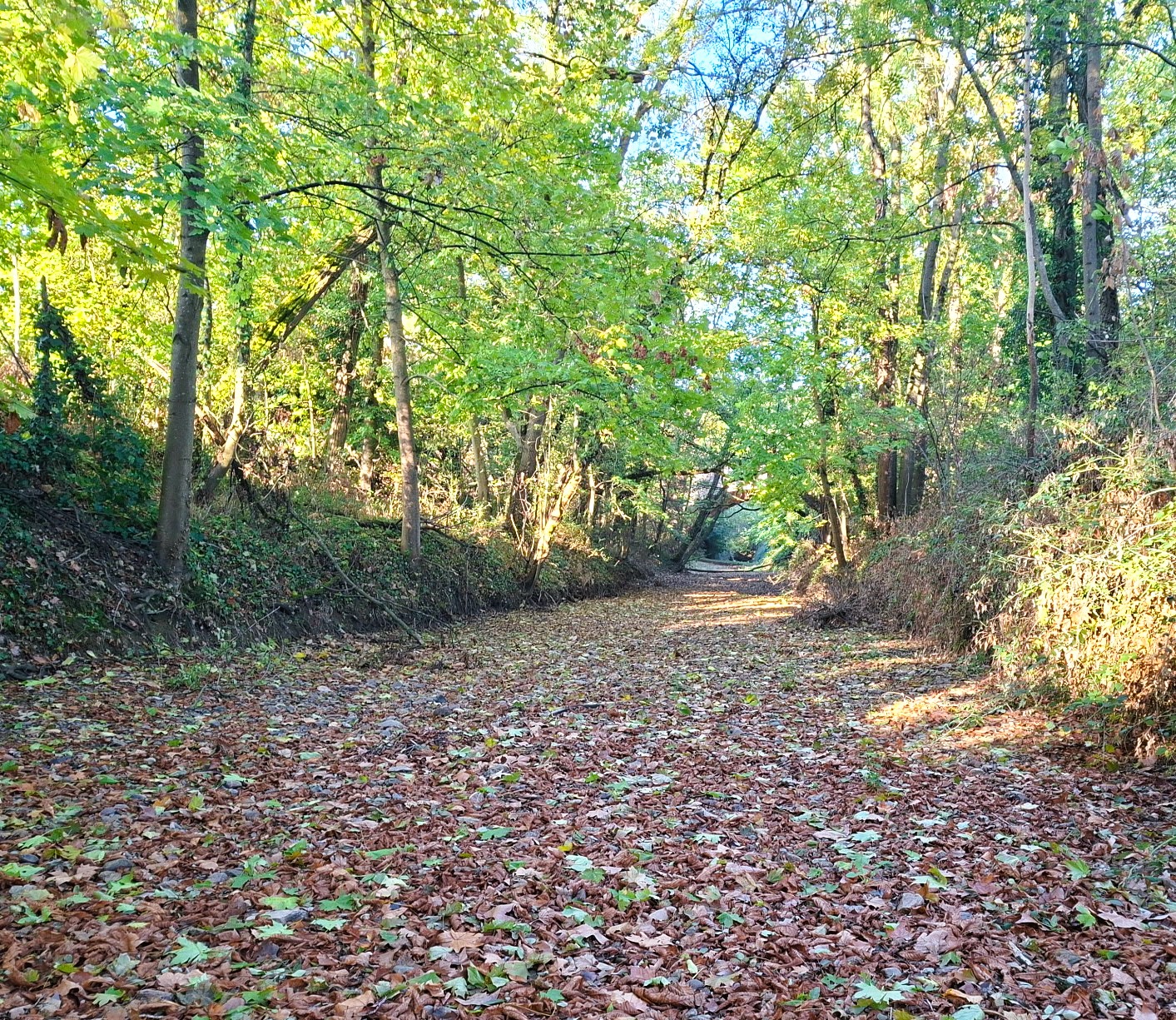 sentier St G d R - Copie.jpg