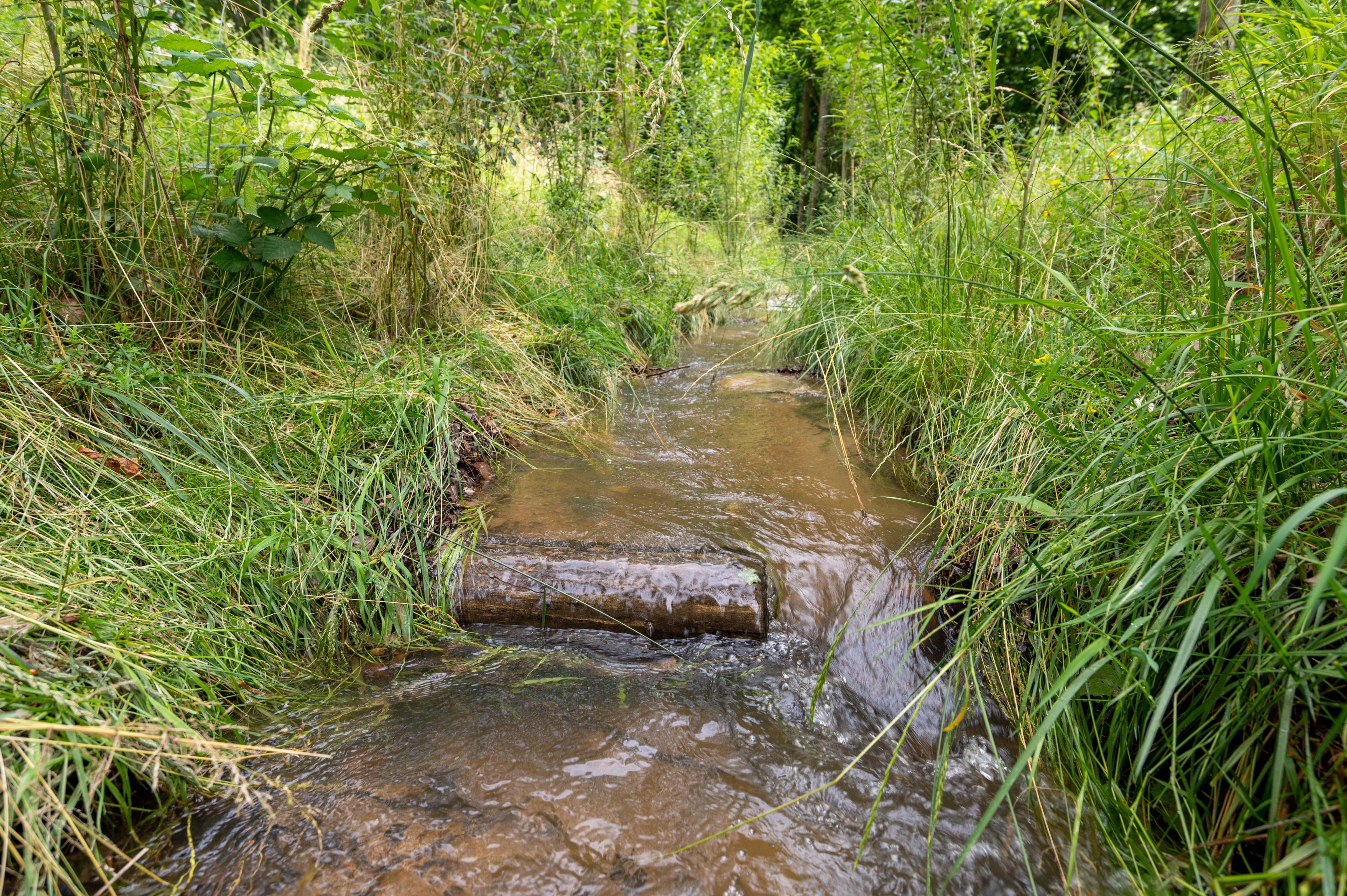 riv de contournement - Montmay - Ardieres _2_.jpg