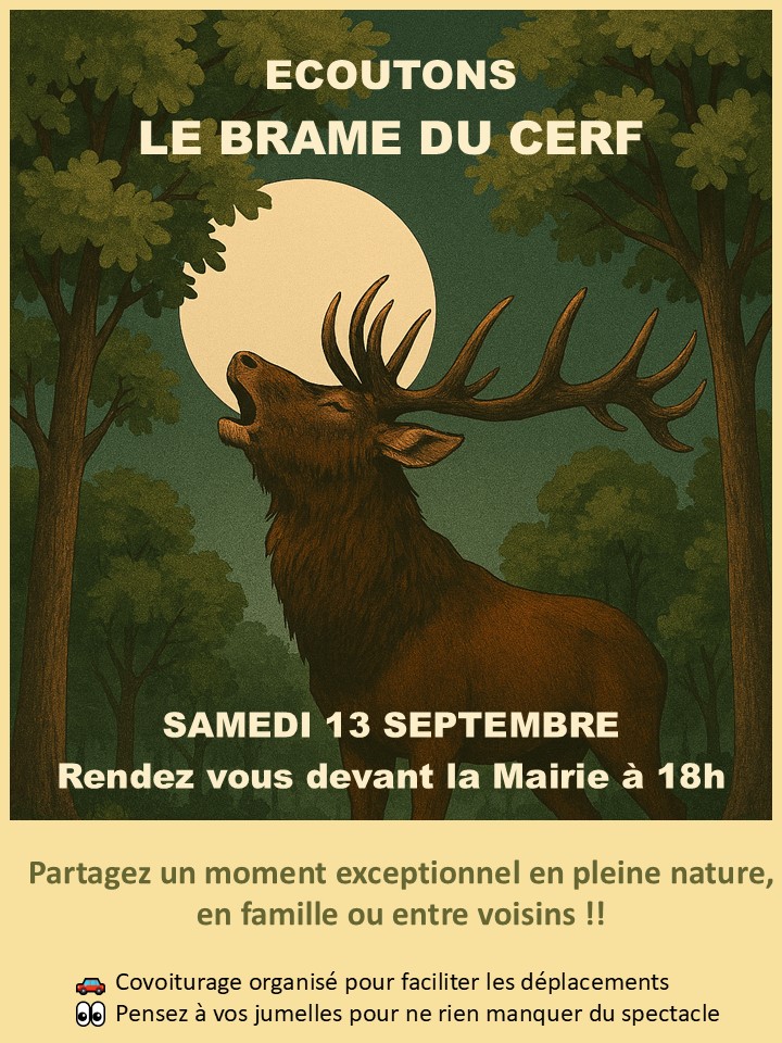 affiche brame cerf A4.jpg