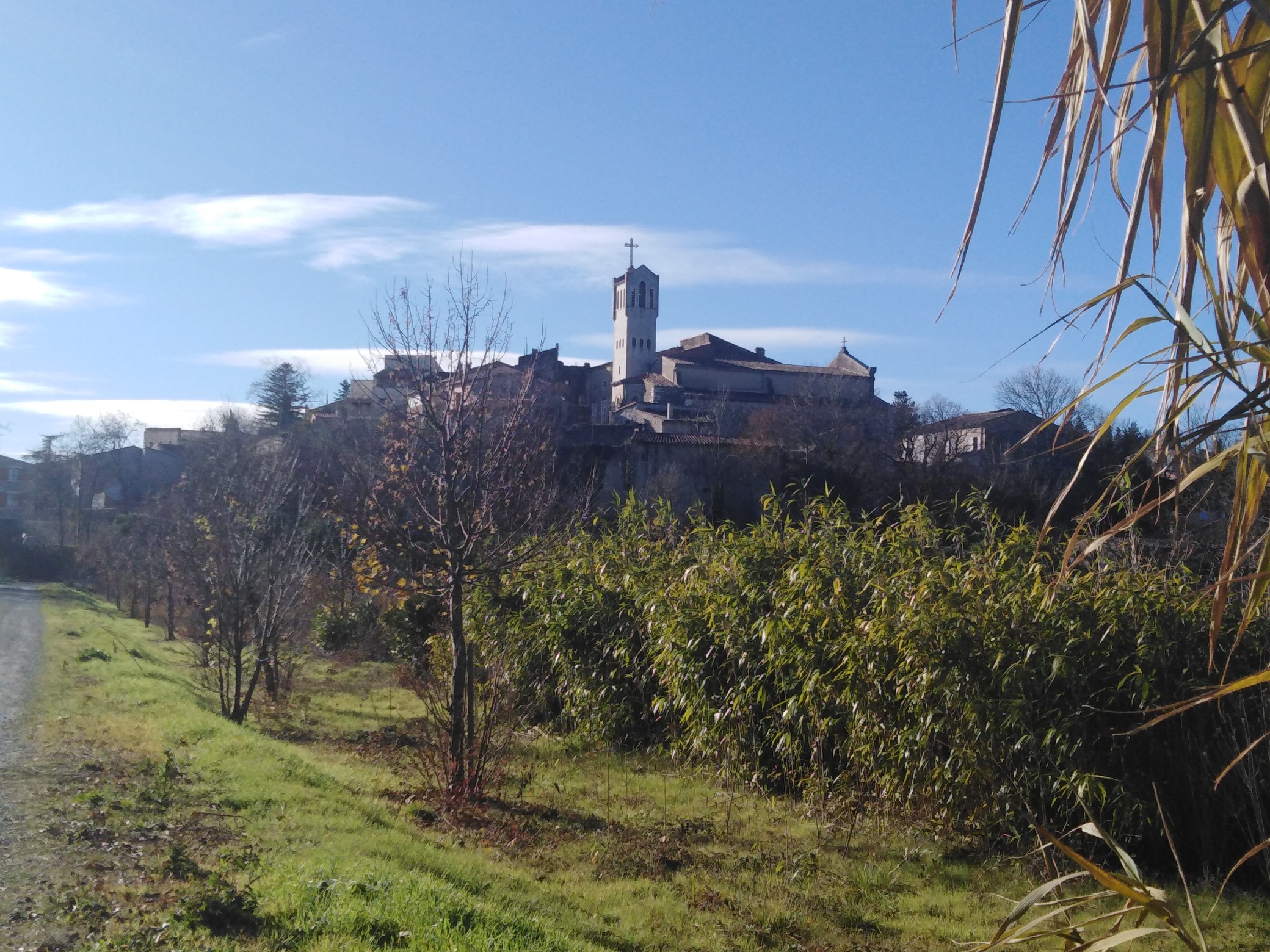 BONNET Alexandra _1_.jpg