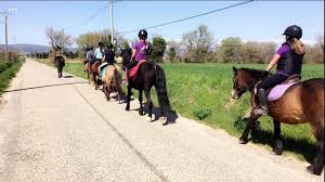 PHOTO LES LAVANDES EQUITATION.jpg