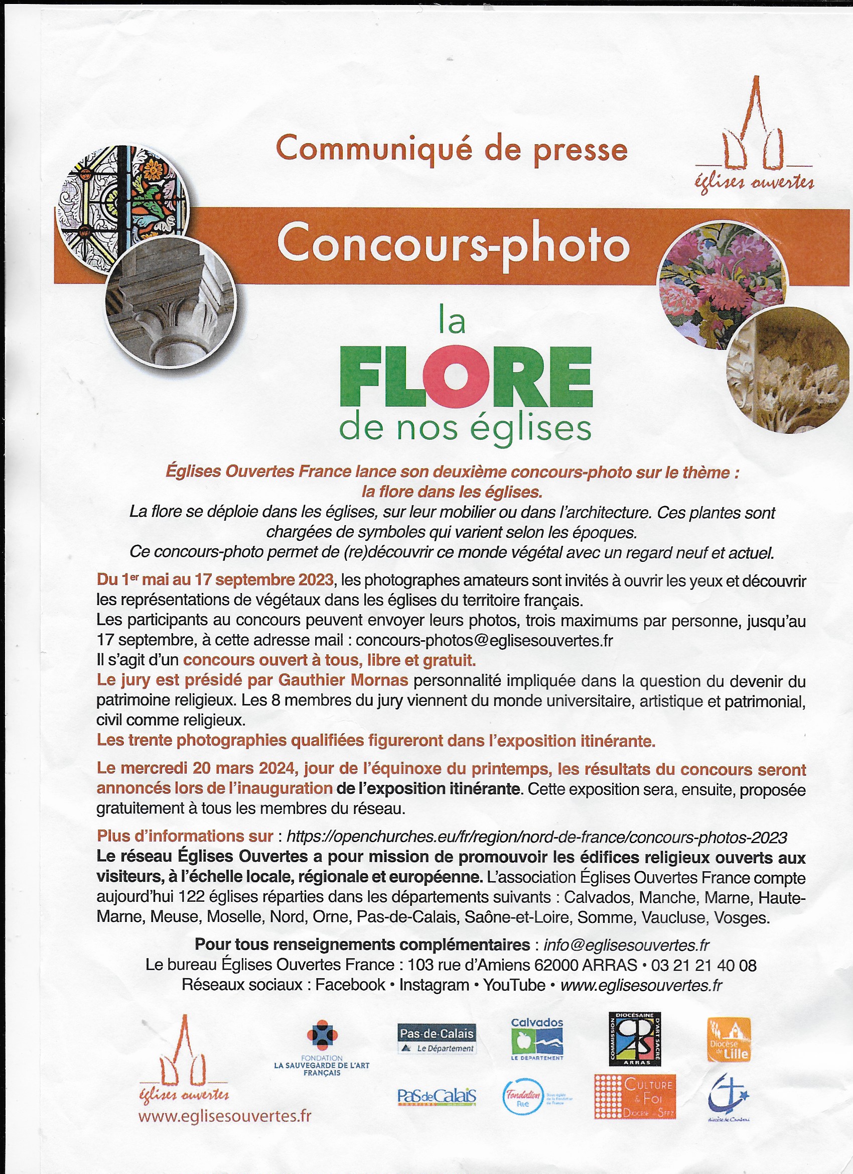 flore des églises.jpeg