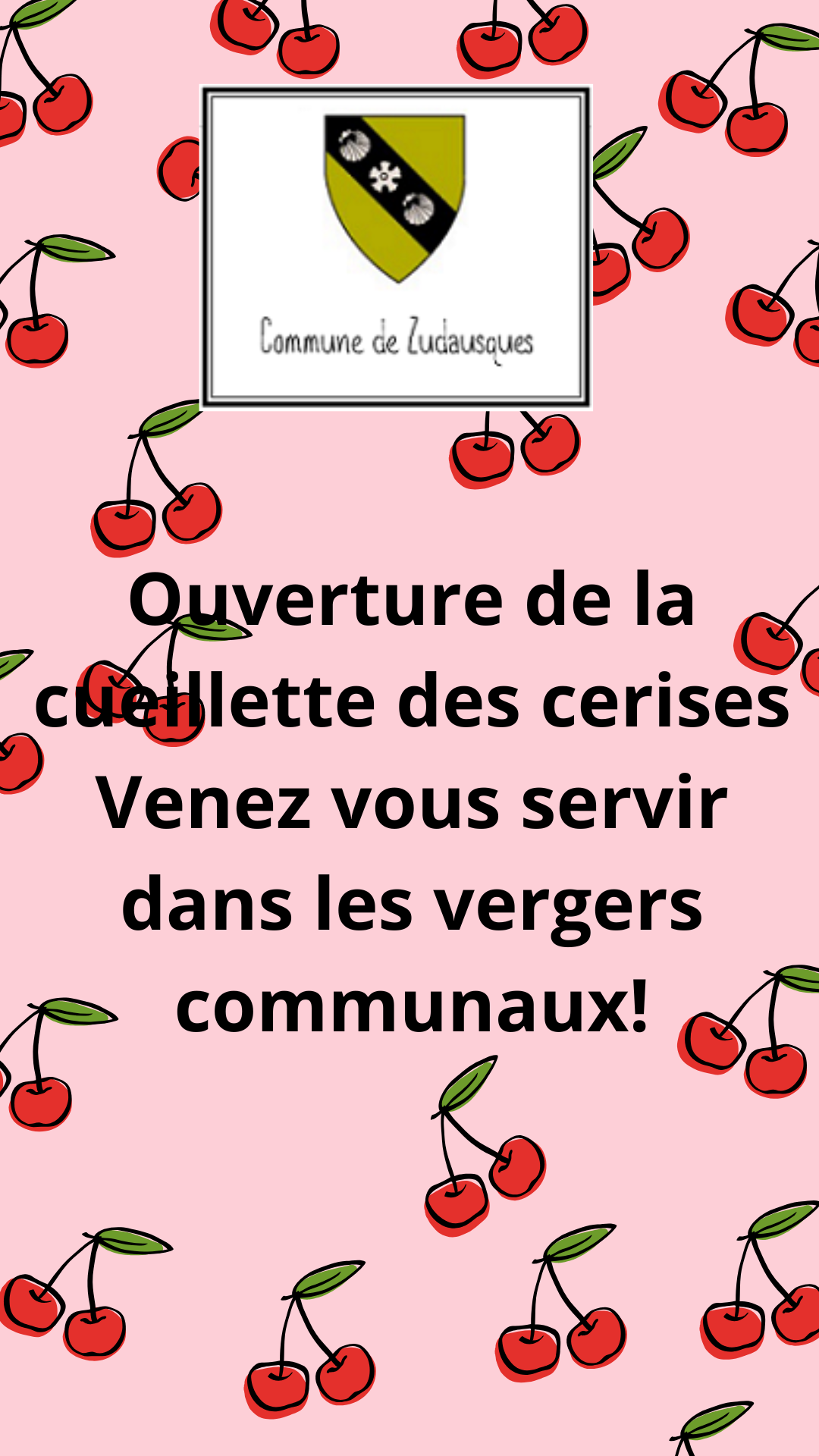 affiche cueillette cerises.png