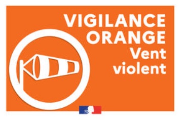 VIGILANCE ORANGE VENT VIOLENT.jpg