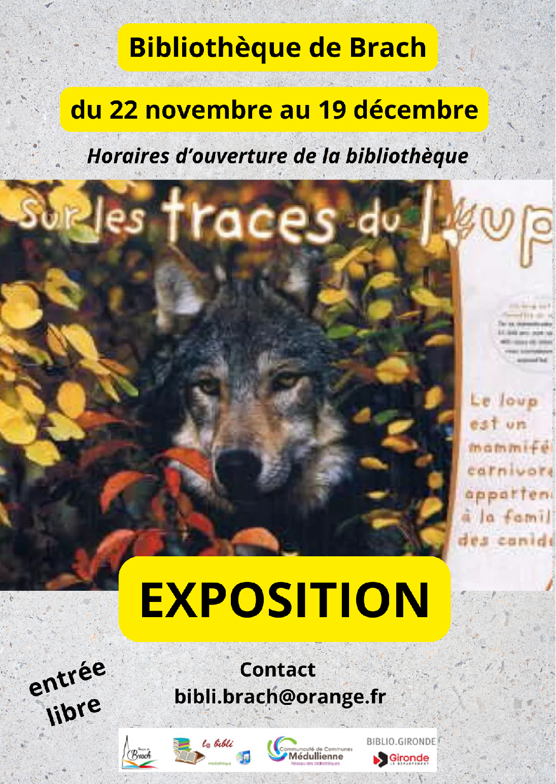 Bibliothèque de Brach.png