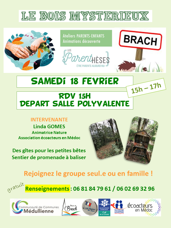 8_BRACH_Bois mystérieux_ samedi 18 février 2023.png