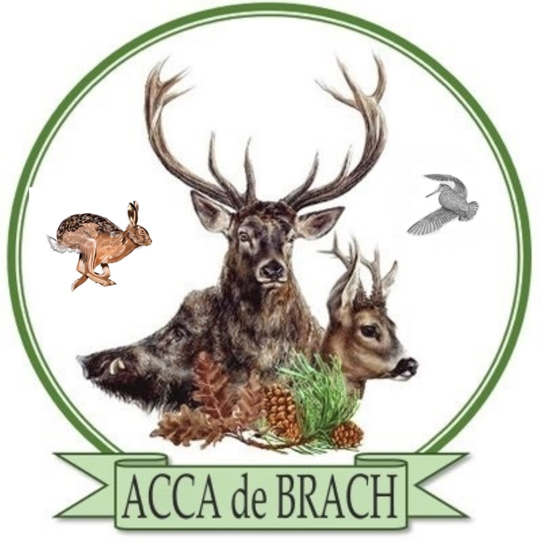 Logo ACCA de Brach_octobre 2023.jpg