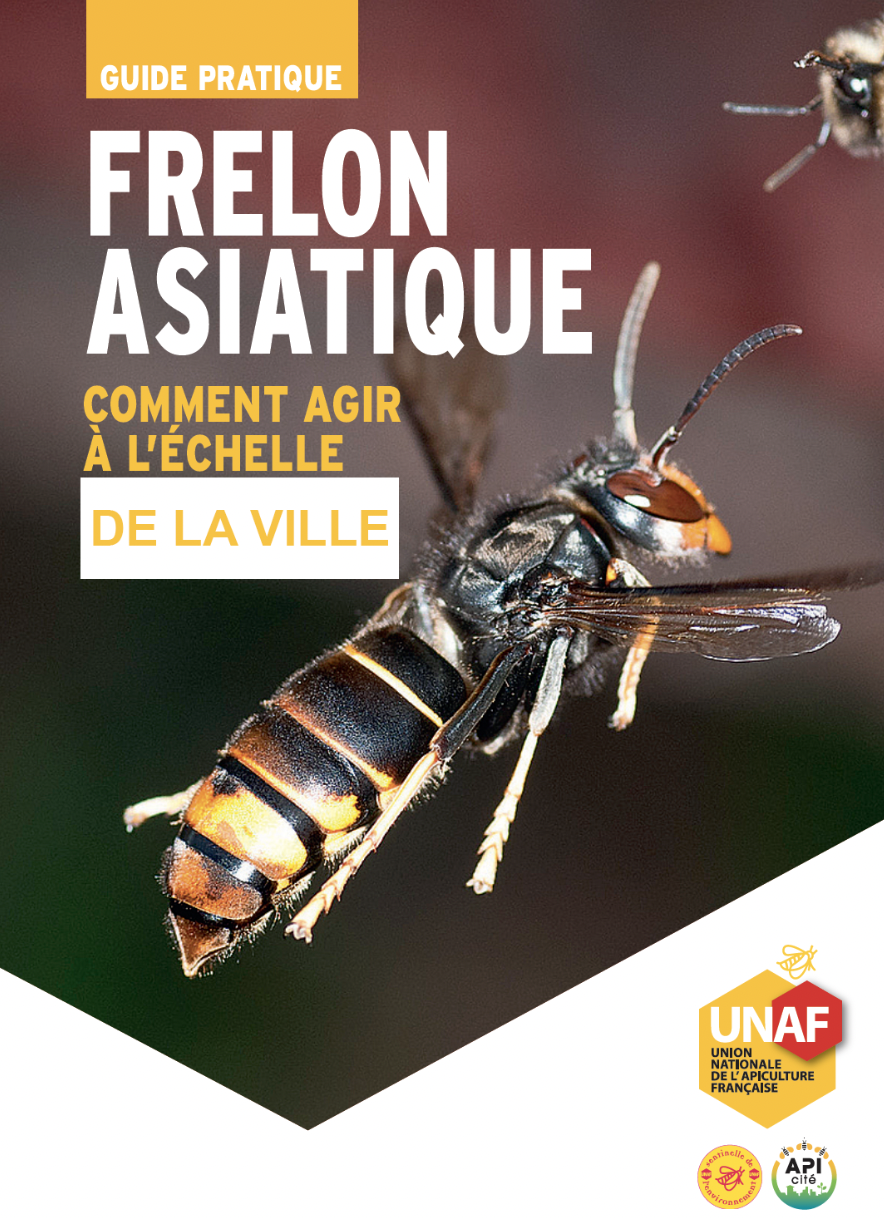 frelon.png