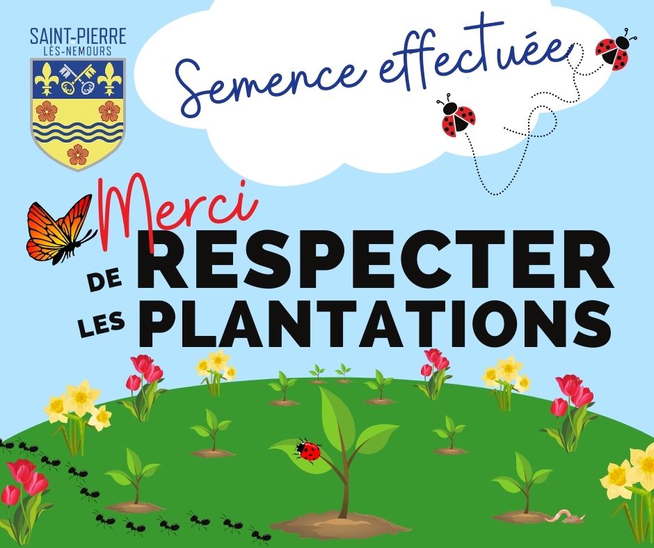 1PLANTATION EFFECTUÉE.jpg