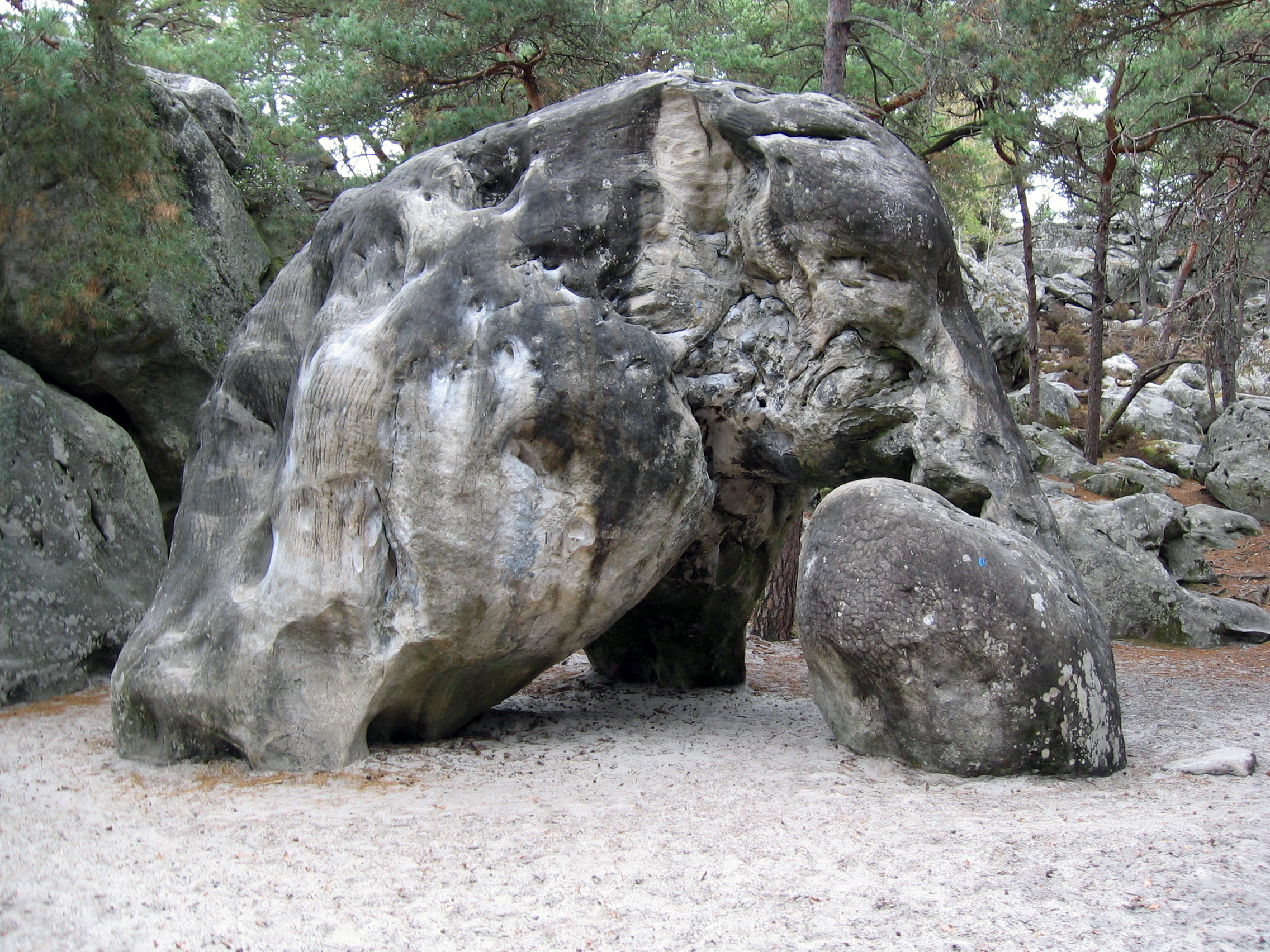 Elephant1.jpg