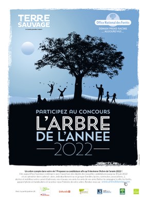 ARBRE ANNÉE AFFICHE.jpeg