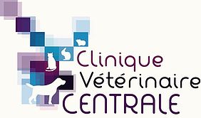 logo clinique vétérinaire centrale.jpg