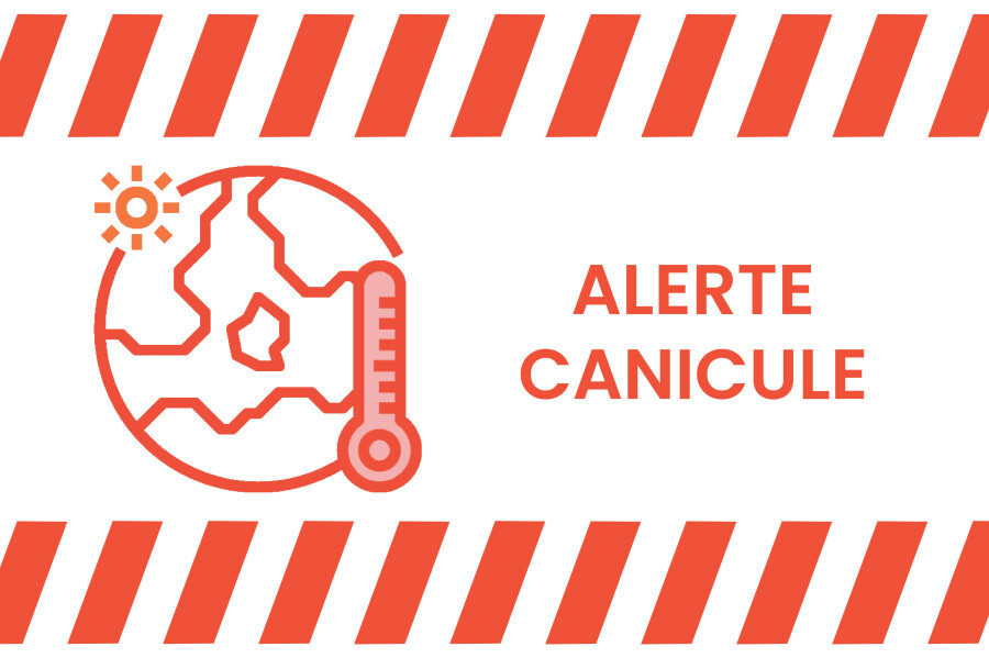 Canicule.jpg