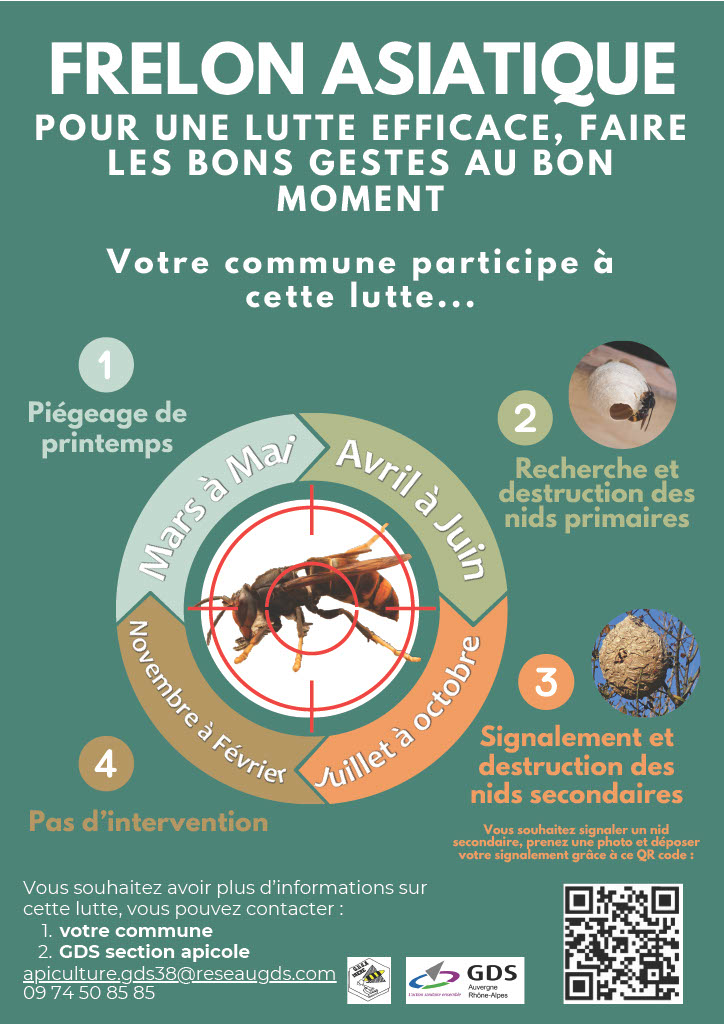 Affiche frelon asiatique.jpg