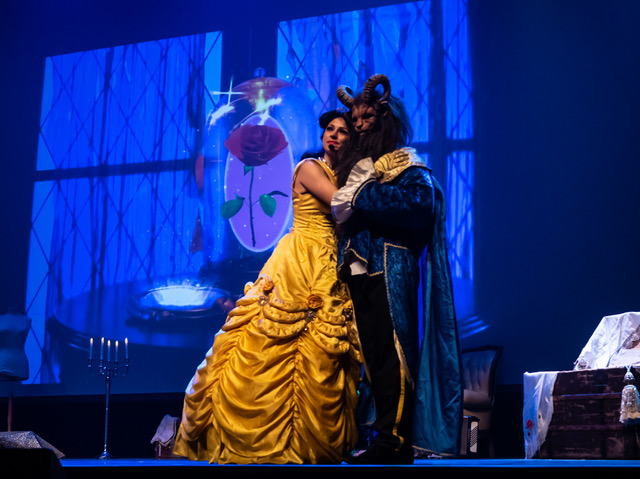 Spectacle Disney 3.jpg