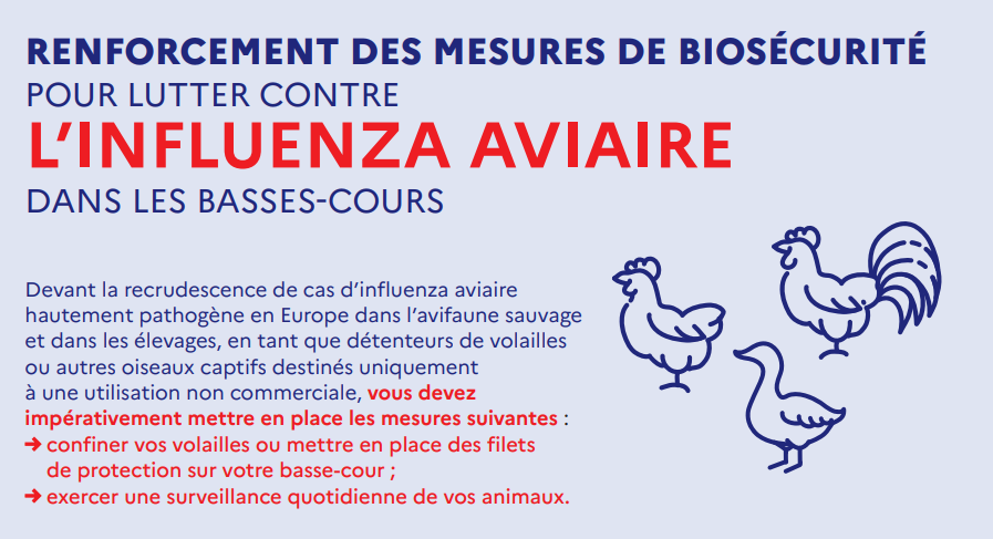 Influenza aviaire.png