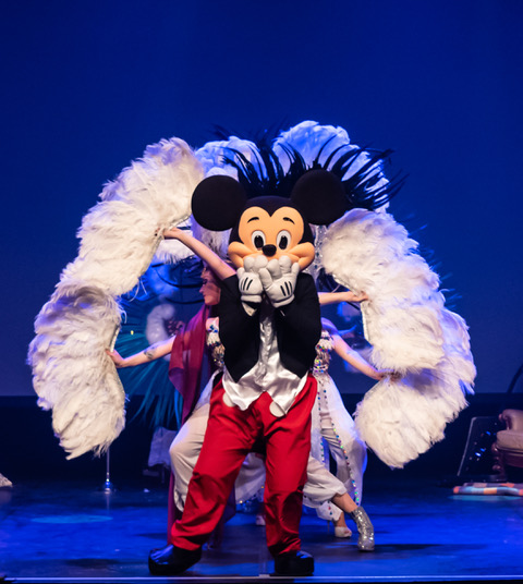 Spectacle Disney 4.jpg