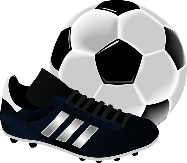 soccer-155947_640.png