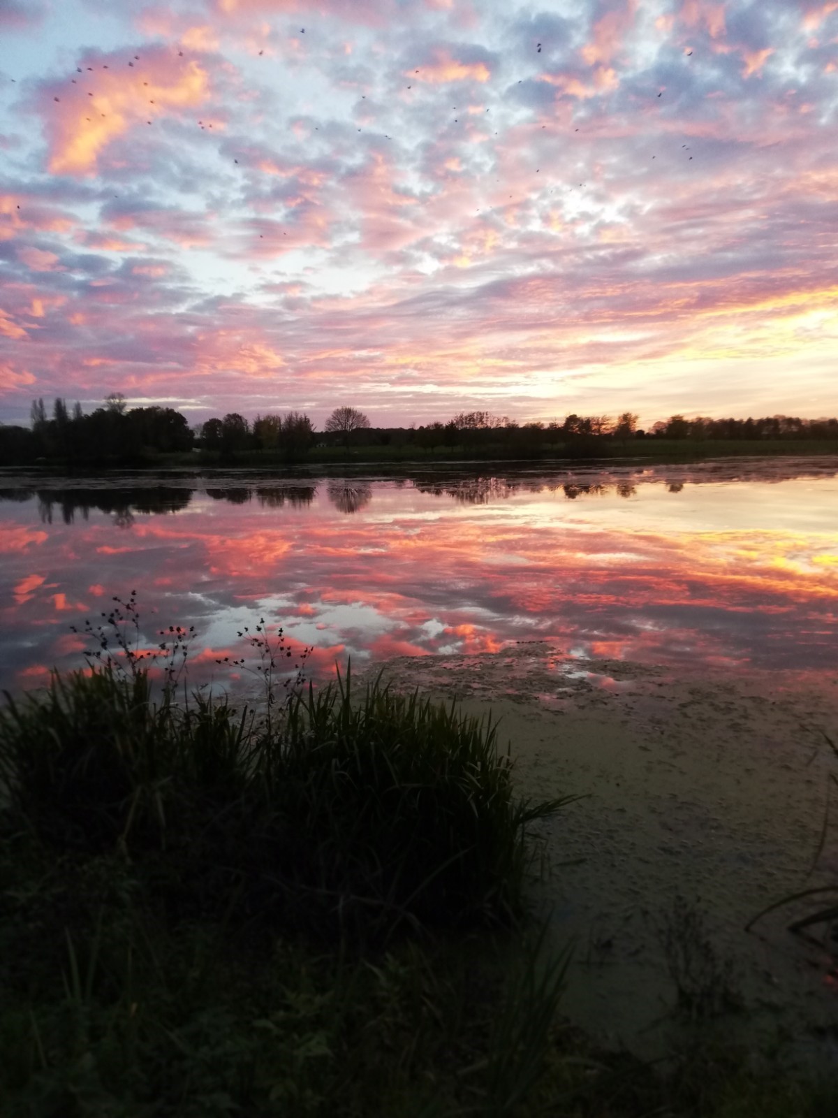Couché de soleil 1.jpg