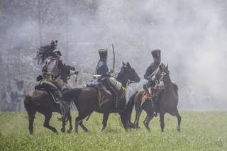 military-belgium-horses-war-theater-cannon-1084168-pxhere.com.jpg
