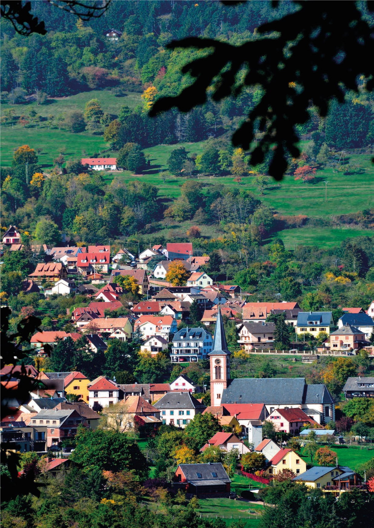 Commune de Thannenkirch