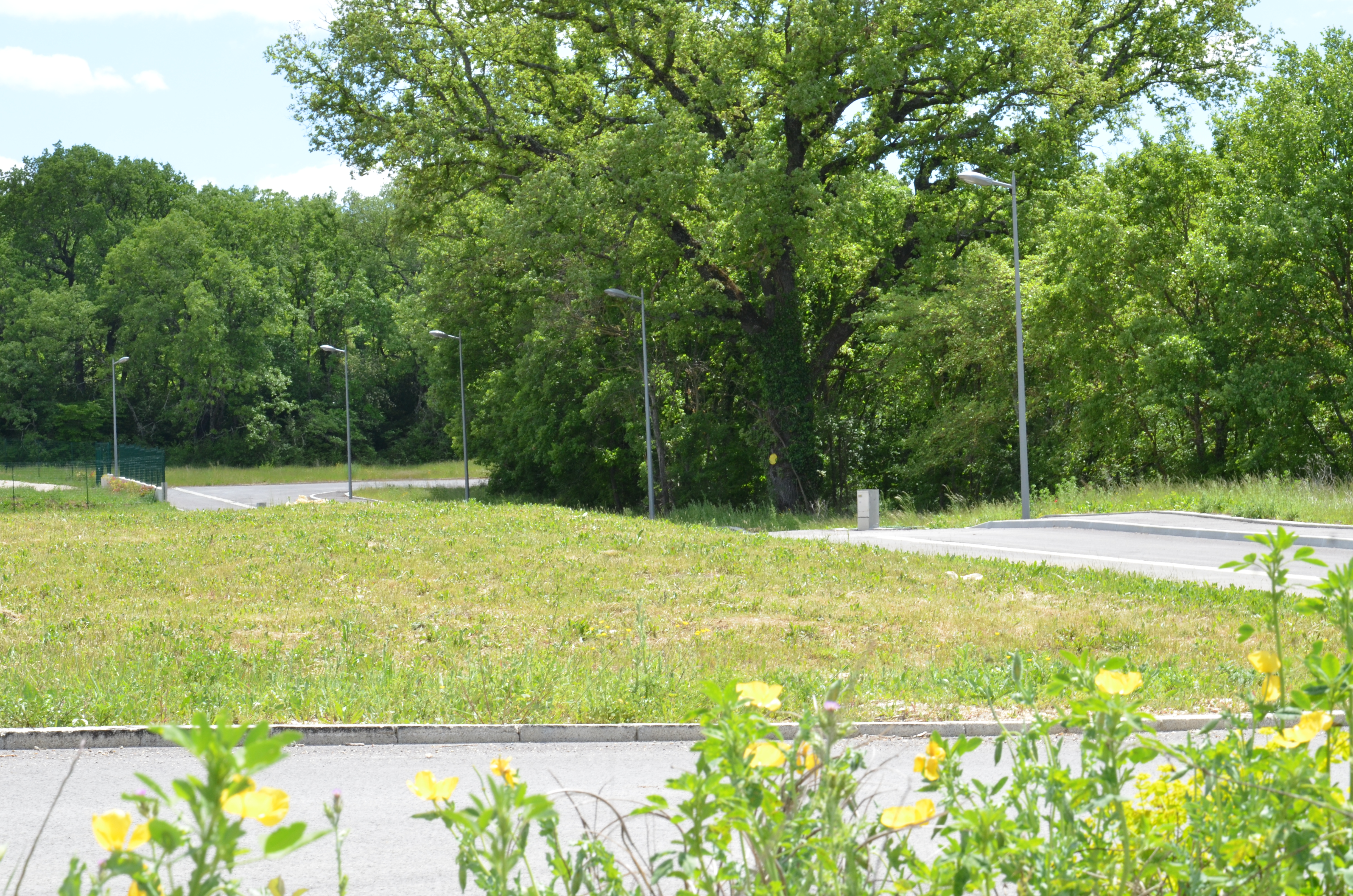 DSC_2571 - Copie.JPG