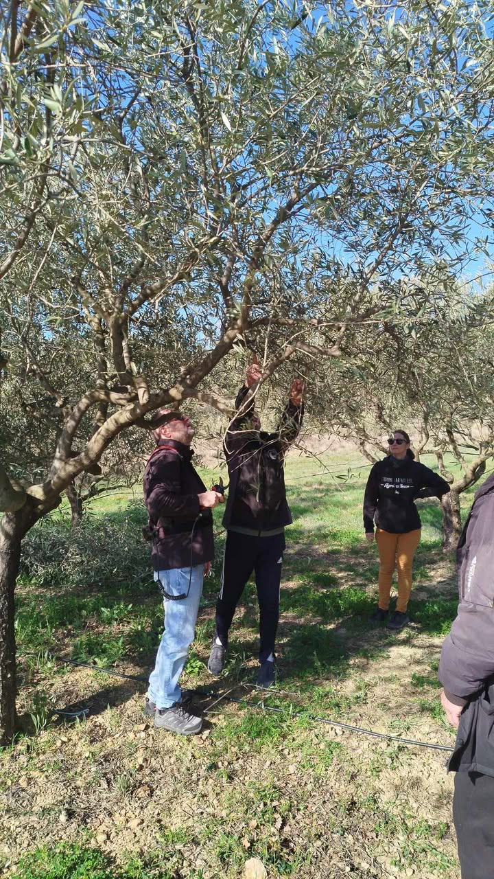 Immersion Domaine des Bragalous