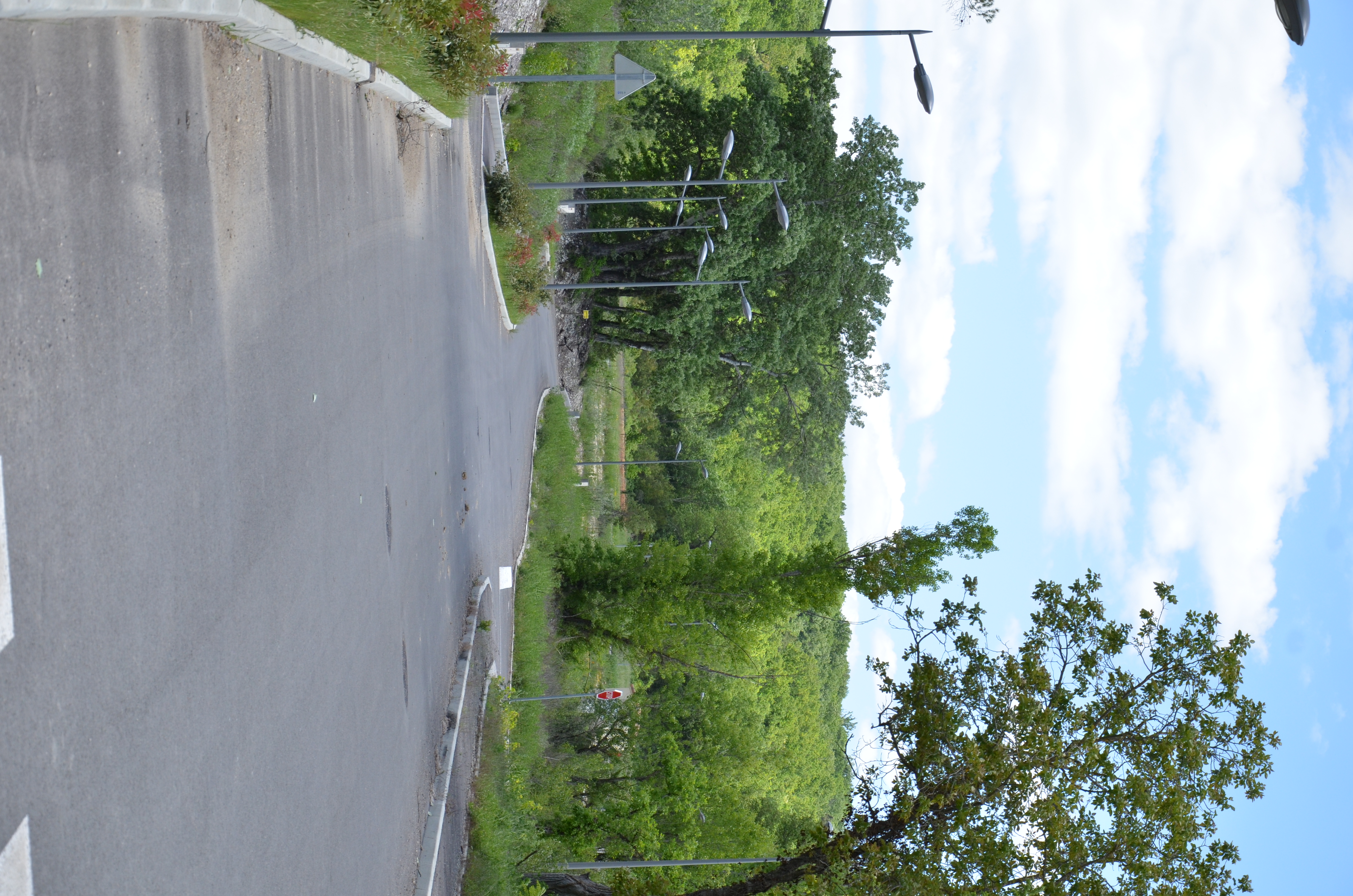 DSC_2563 - Copie.JPG