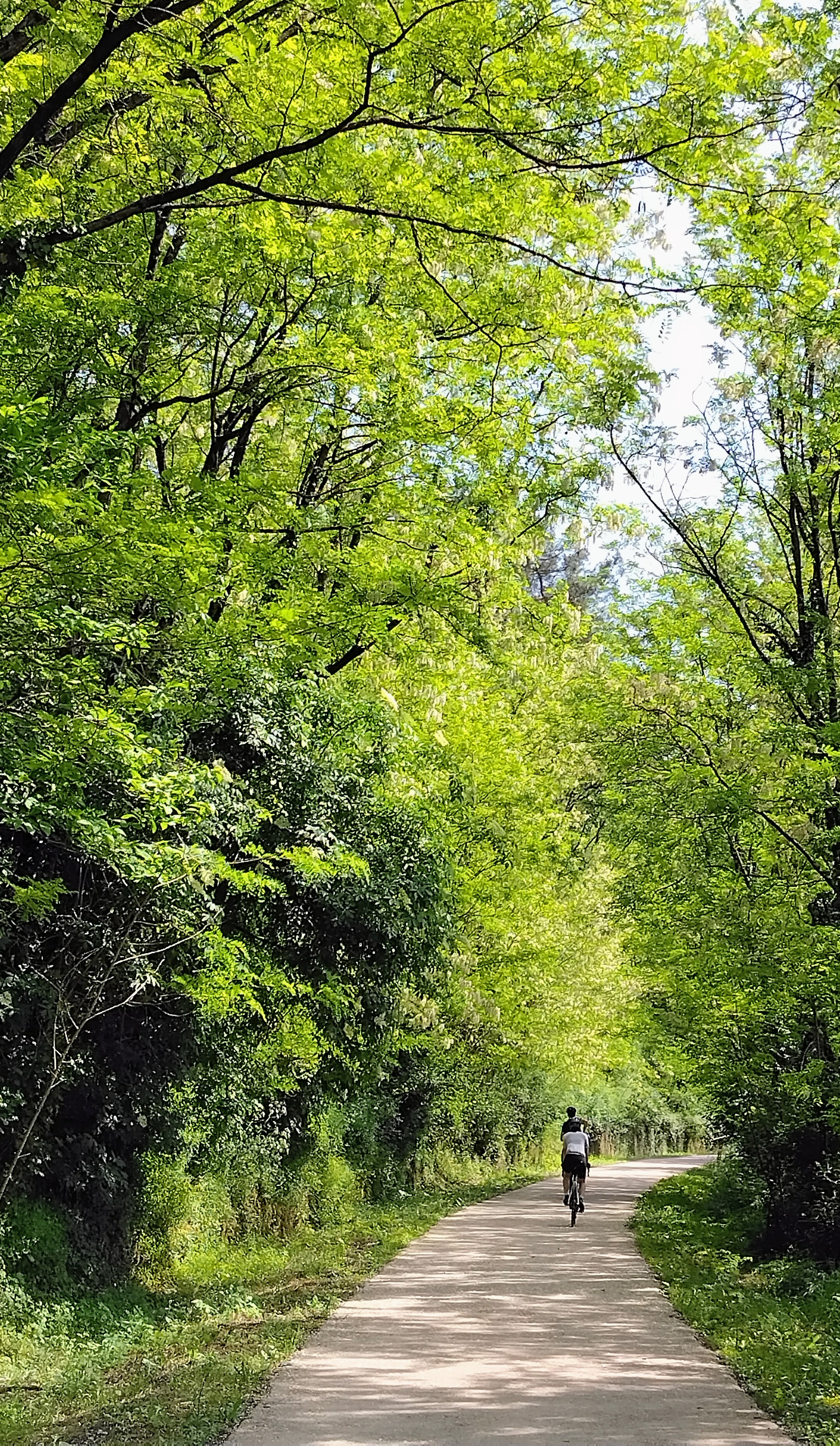 Voie Verte - Gagnières 04.jpg