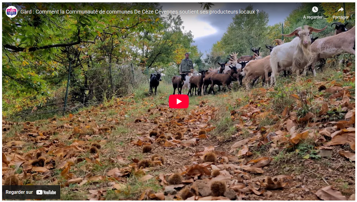 Reportage ecomnews.png