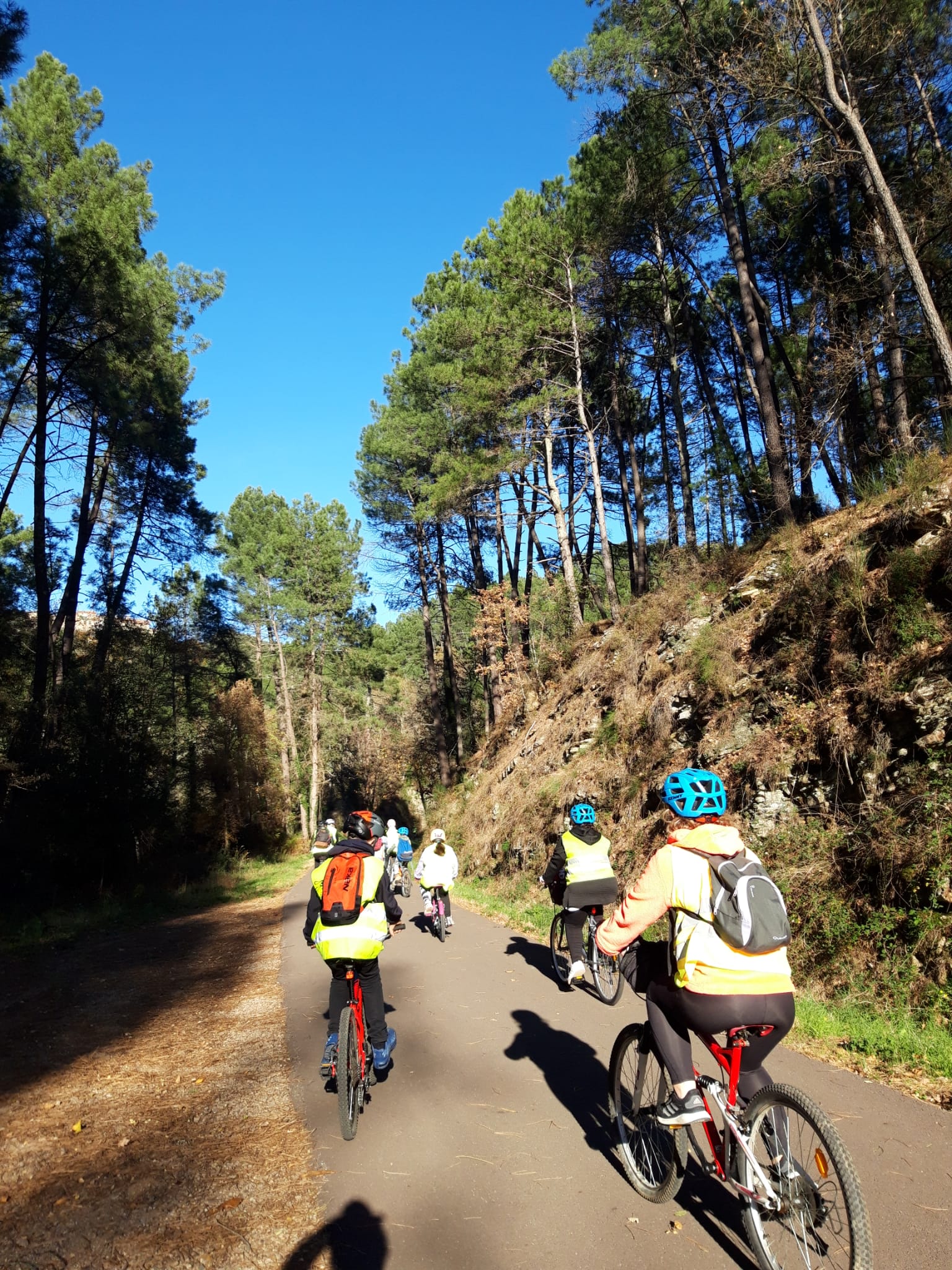 Savoir rouler à vélo