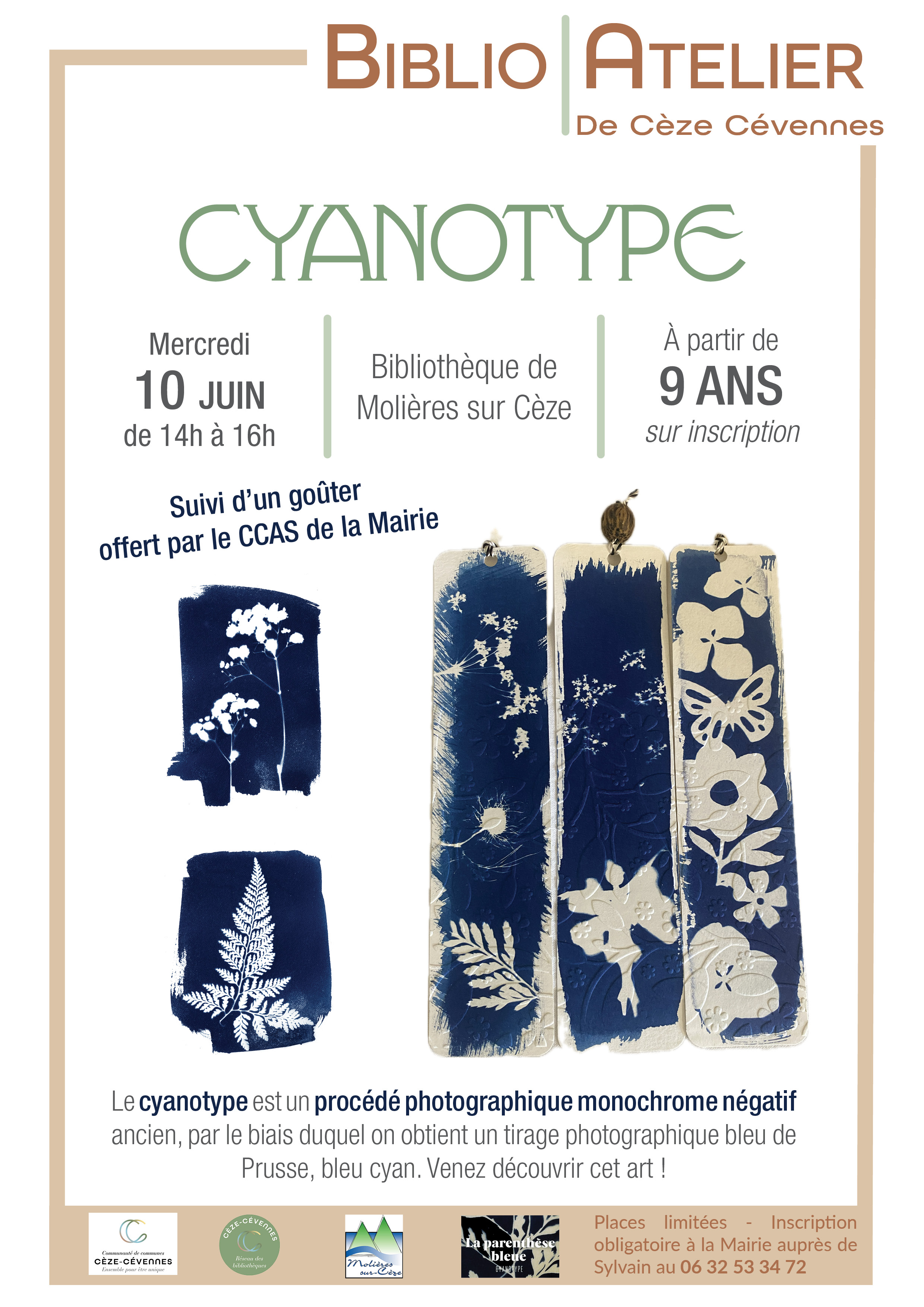 2026-06-10 - Atelier Cyanotype - Molières sur Cèze.jpg