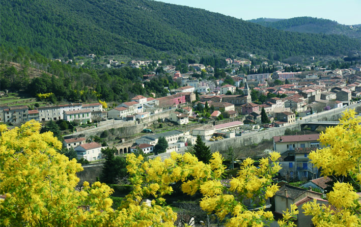 besseges4.jpg
