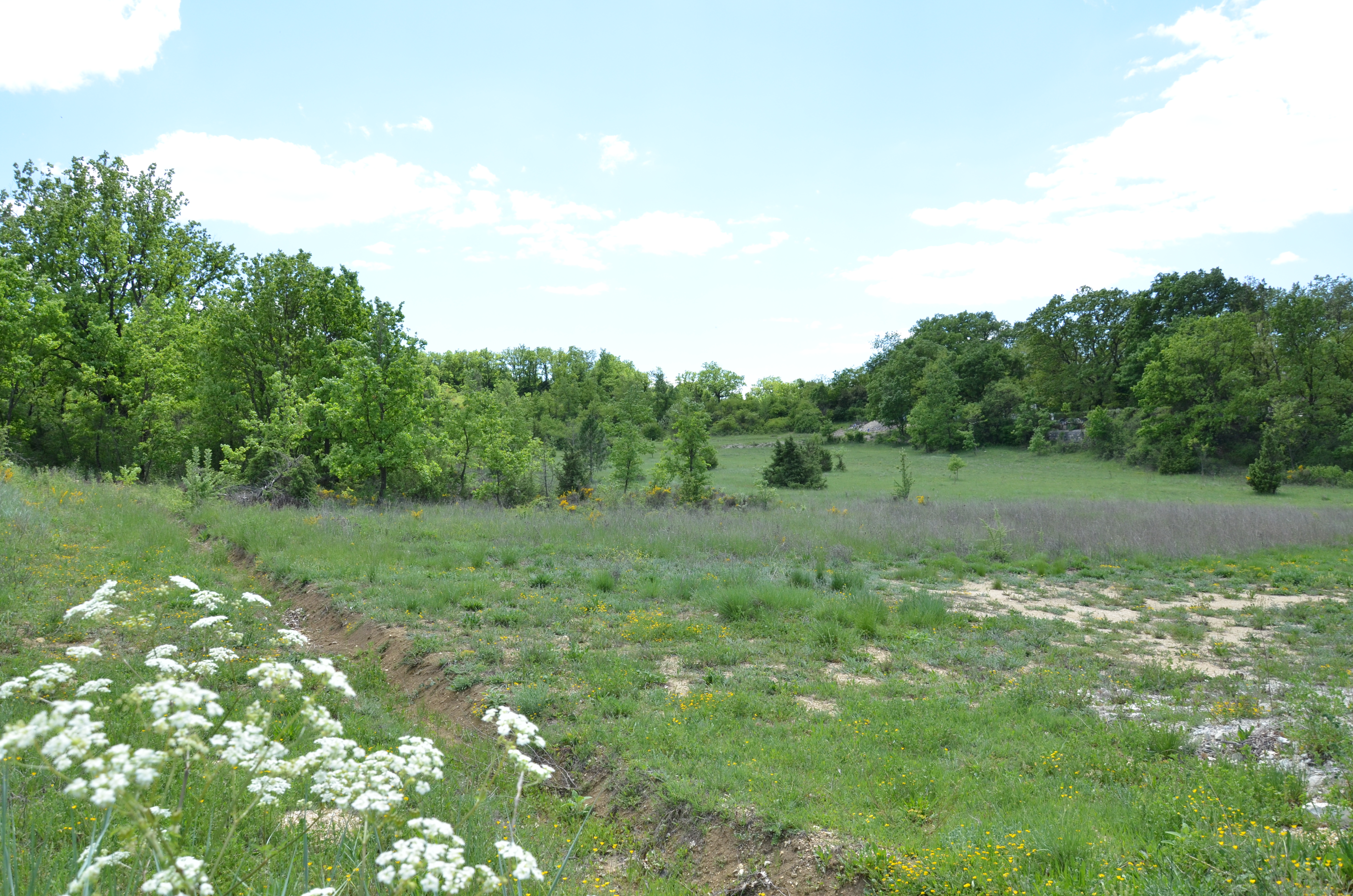 DSC_2566 - Copie.JPG