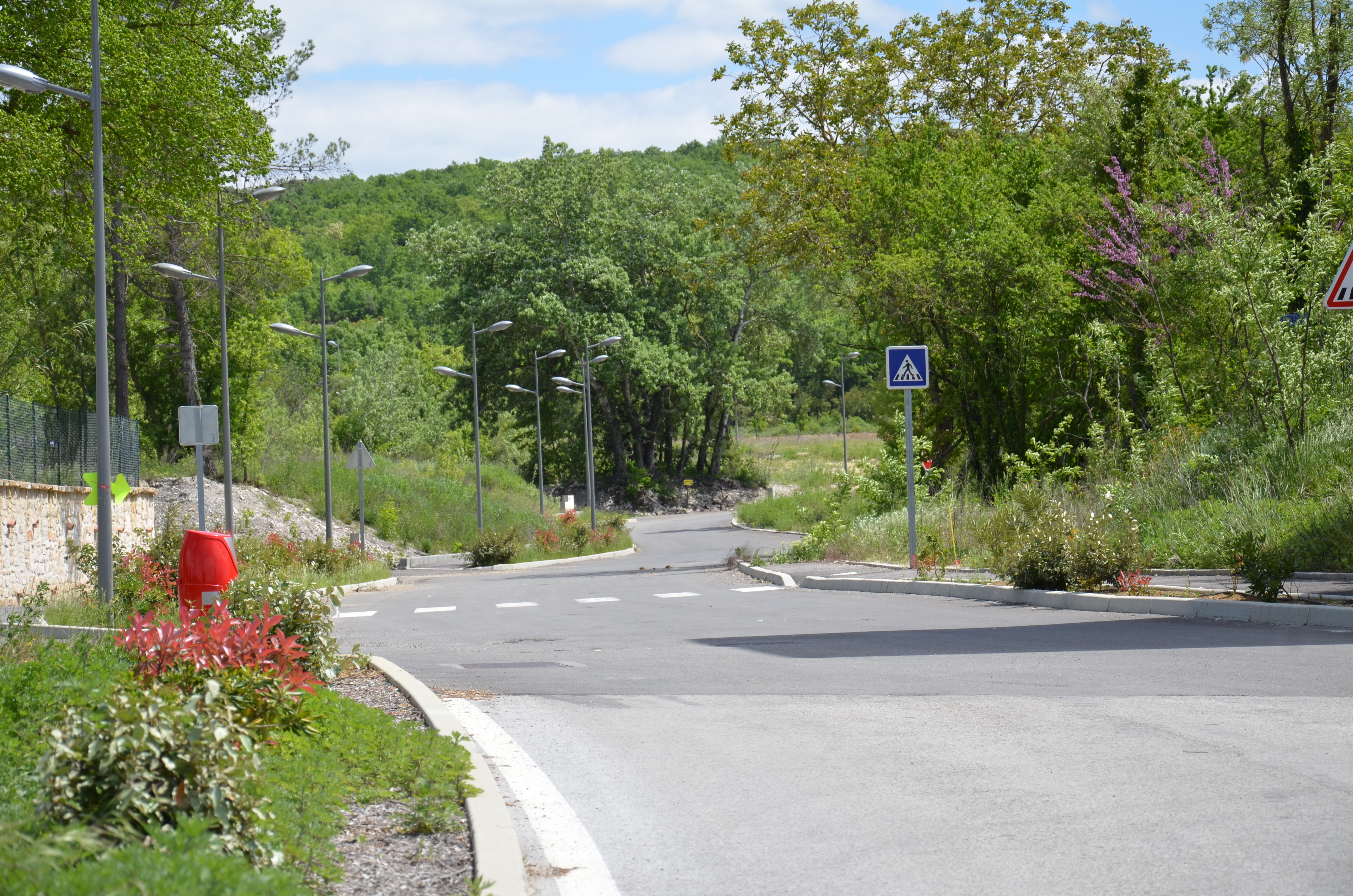 DSC_2562 - Copie.JPG