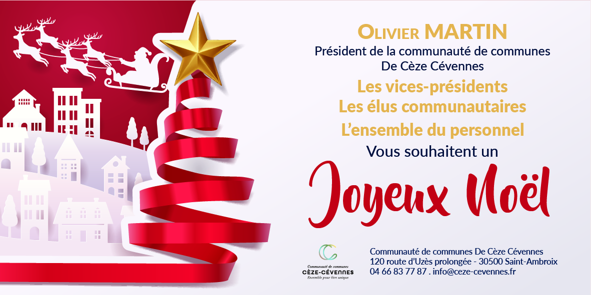 Voeux Noël réseaux sociaux.jpg