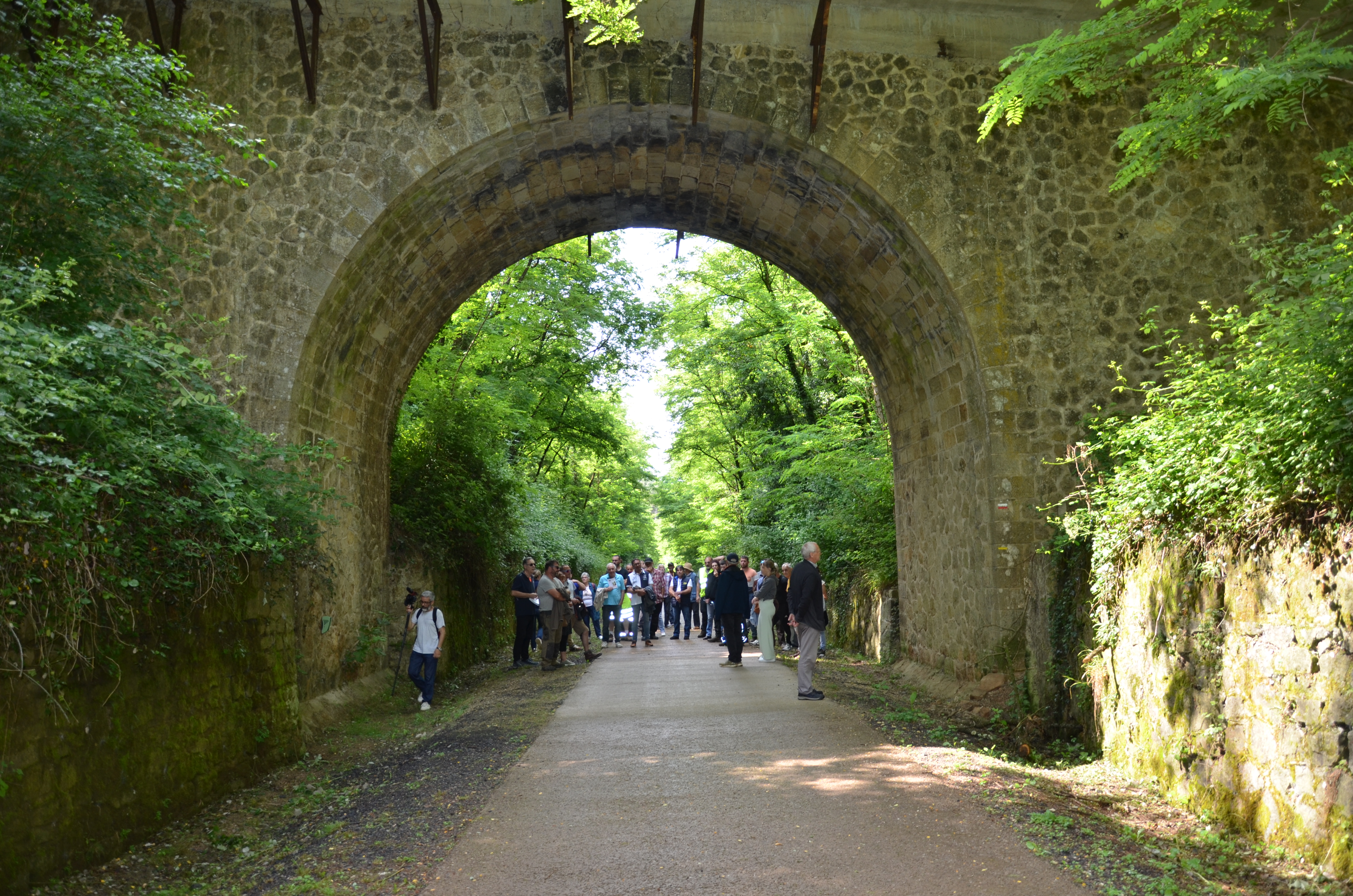 DSC_6303.JPG