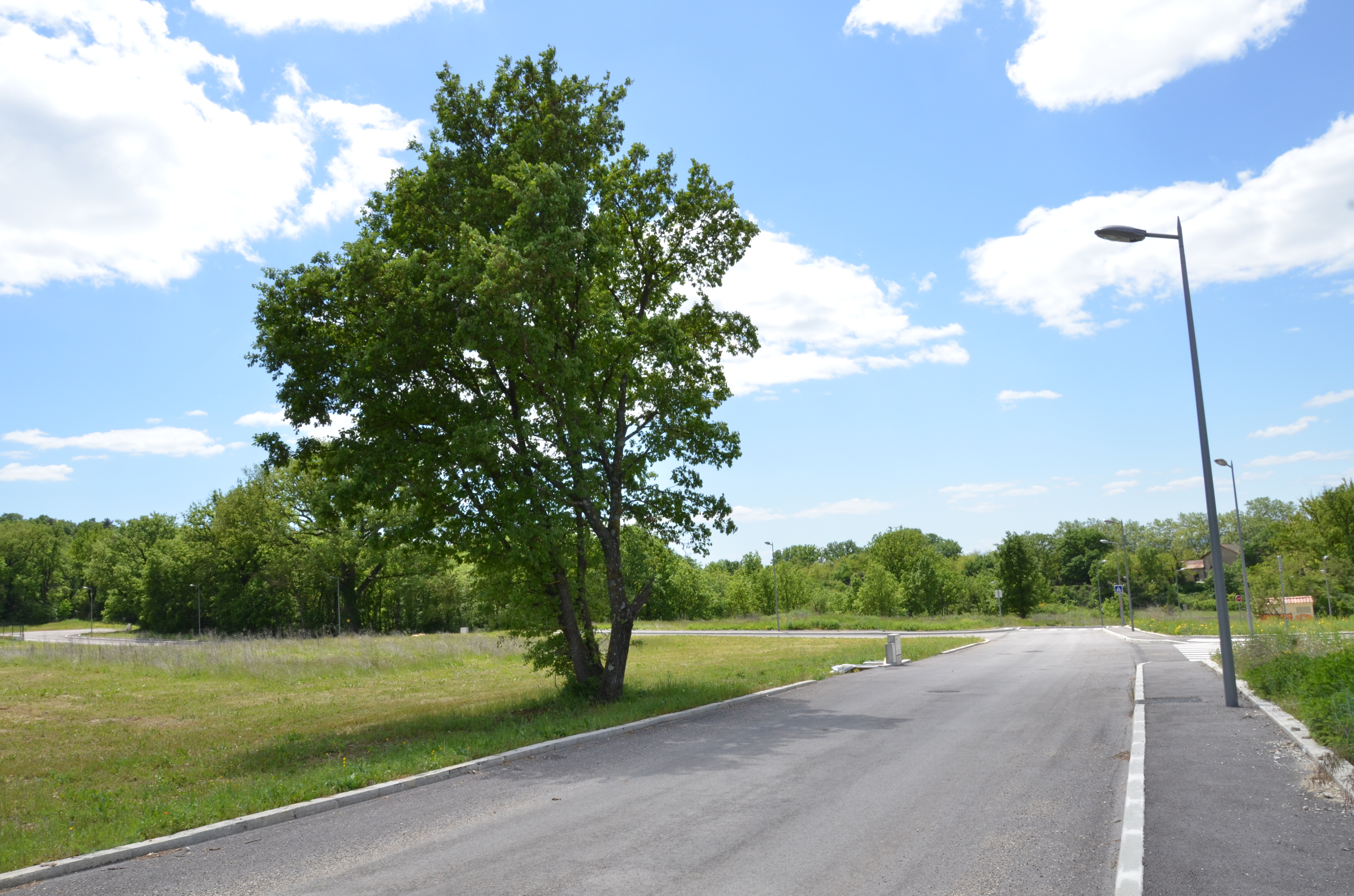 DSC_2572 - Copie.JPG