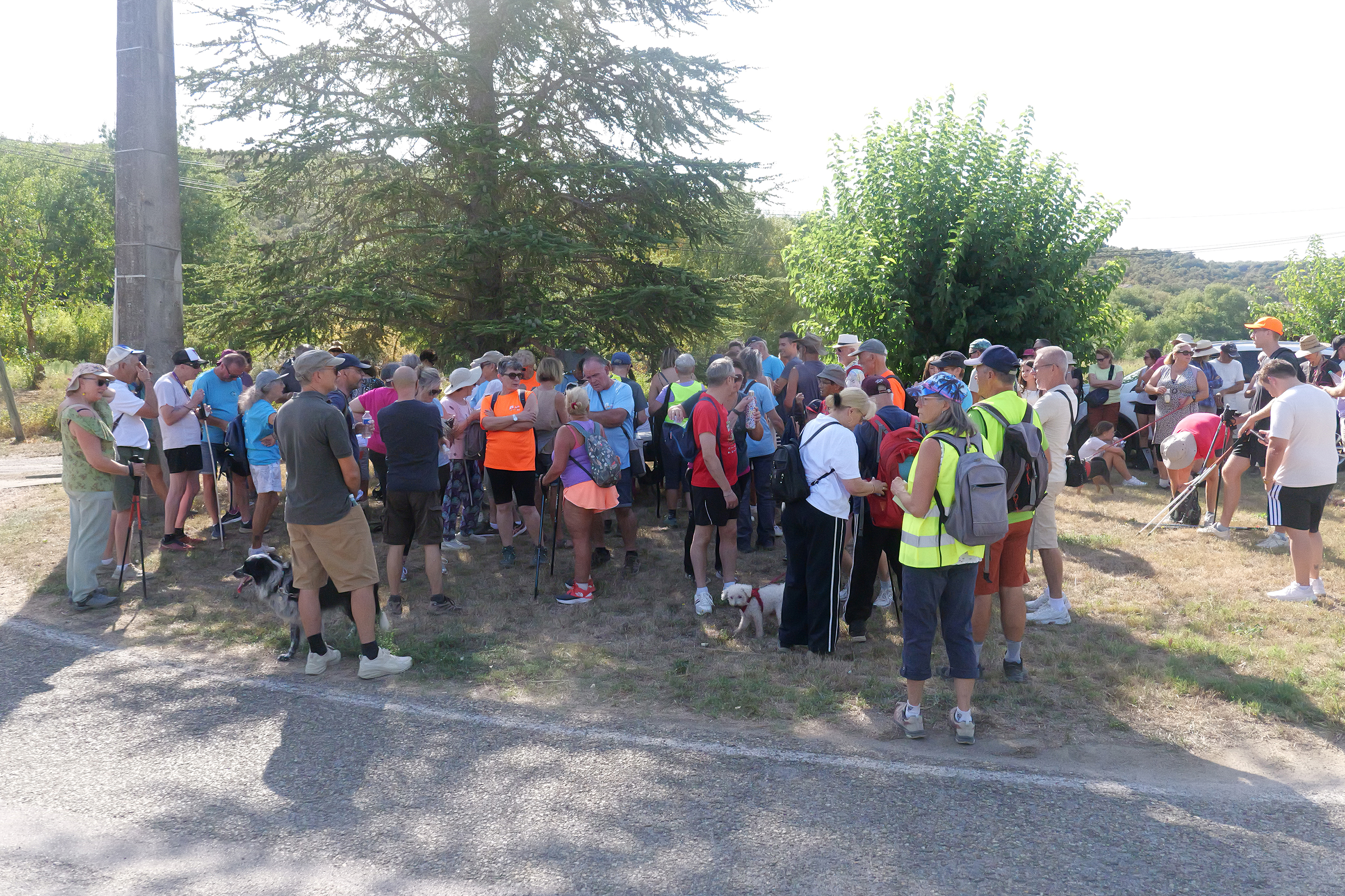 2026-09-06 Marche pour la Vue - IRRP 05.jpg
