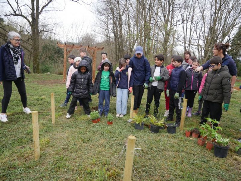 Jardin forêt comestible Gagnières